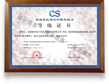 Information System Construction and Service CS4
